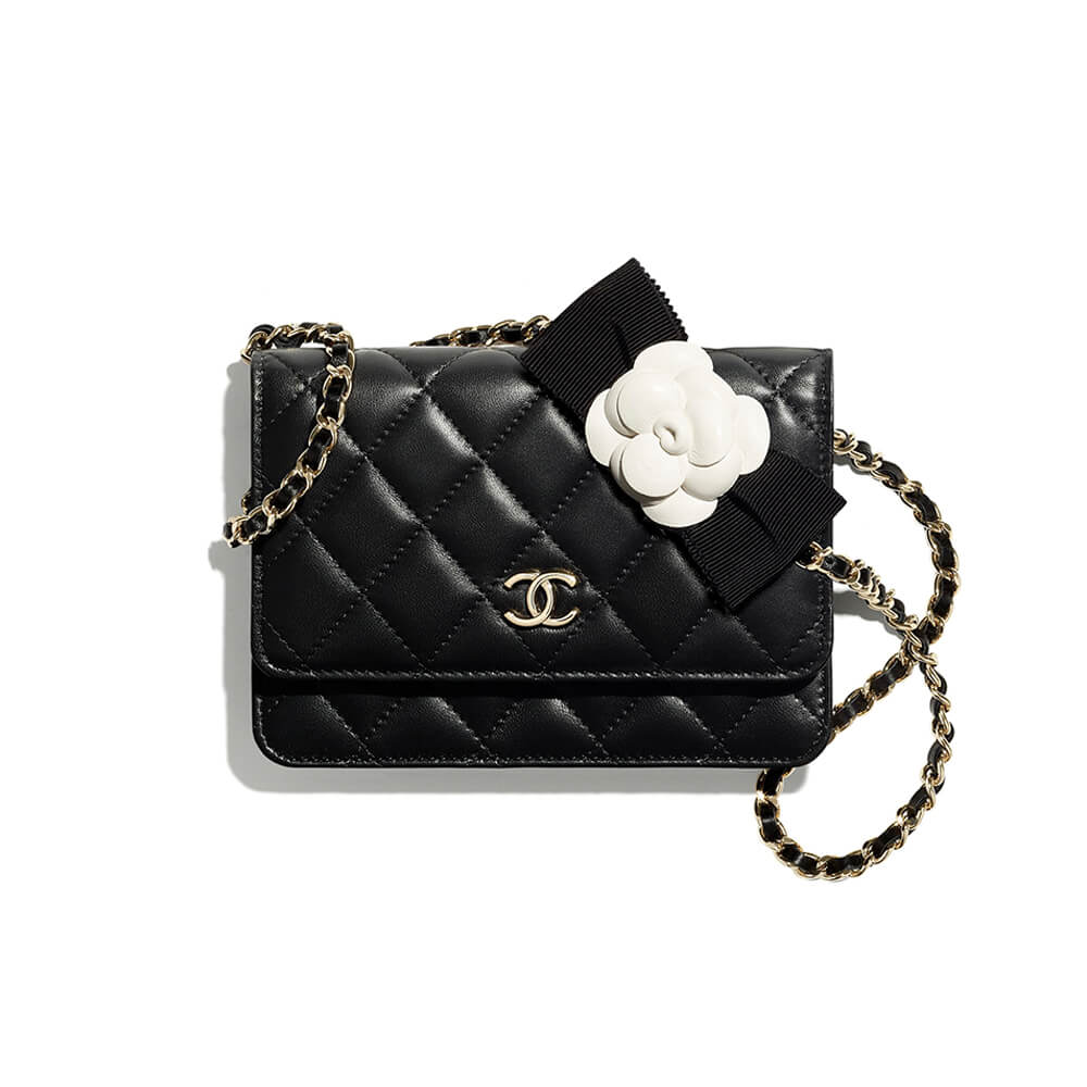 253e33fa84c605fbcecc2436ee6dd853 Chanel MINI WALLET ON CHAIN - Image 1
